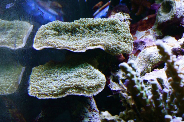 IMG_7677.jpg