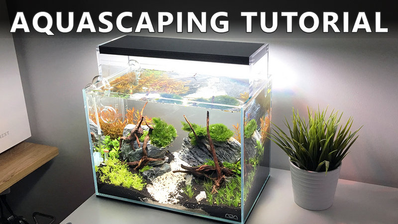 ada_mini_m_aquascaping_tutorial_.jpg