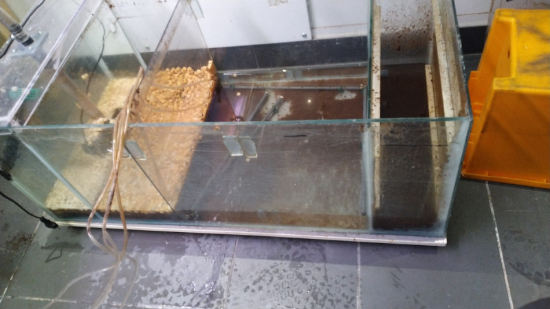 1200_IMG_20210226_163450.jpg (511.05 KiB) Katsottu 13889 kertaa Vanha ala-allas, uudessa ei enää väliseiniä.