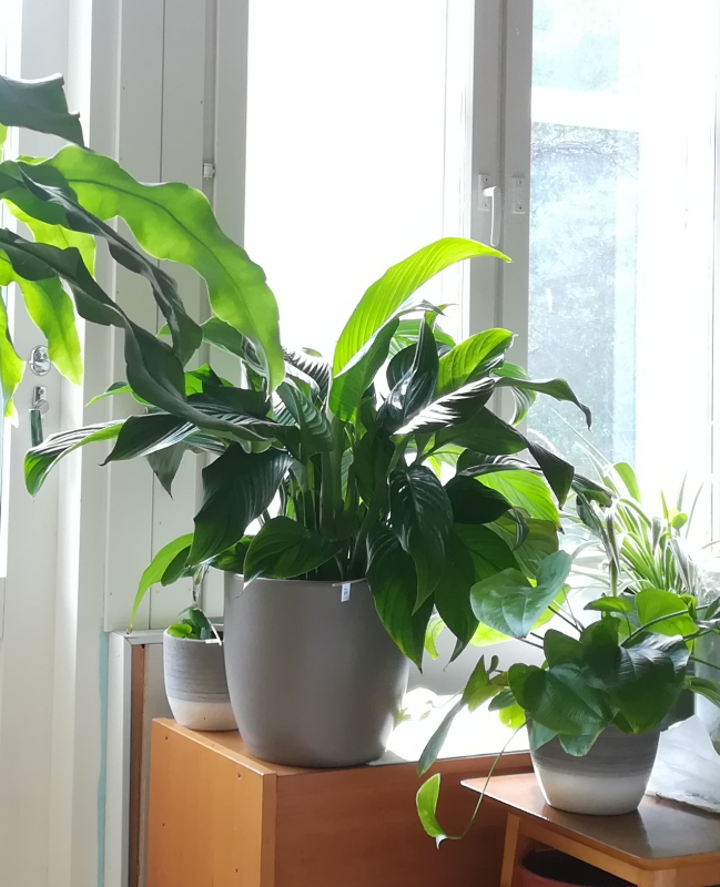 230629.png (2.64 MiB) Katsottu 8189 kertaa 230629.png