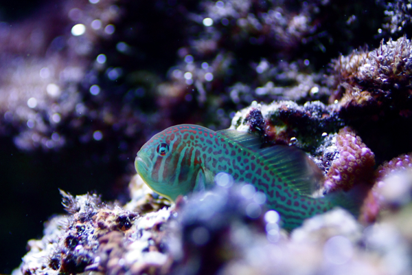 IMG_7779.jpg
