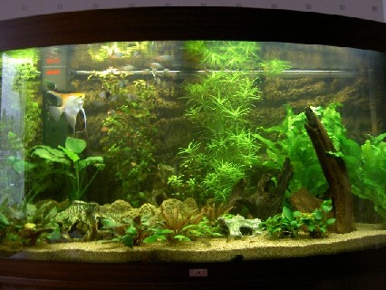 valmis ja kohta erilainen...