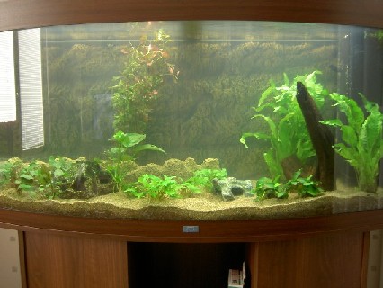 vettä ja vähän sisustusta