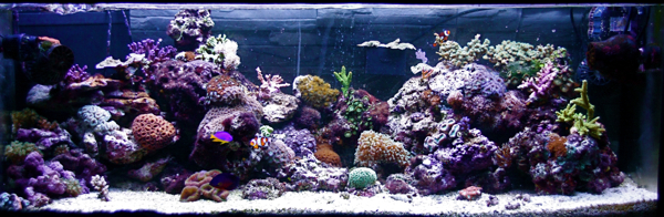 FTS 28.3.10