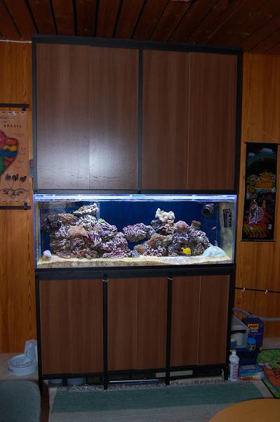 Allas kokonaisuus.jpg