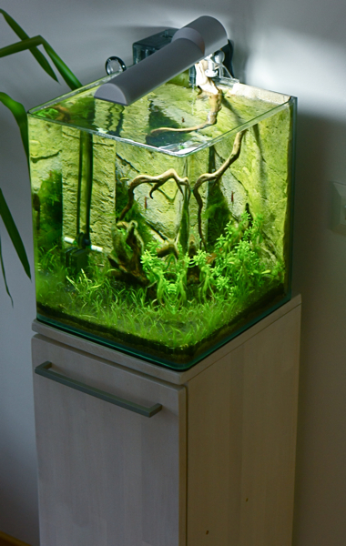 Nanocube 30 10.4.10