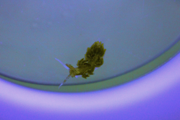 My sexxy killer nudi! =P