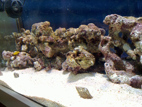 20100705_009.jpg