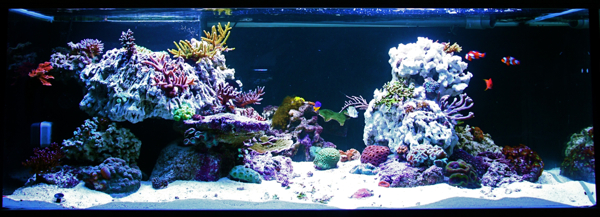 140x70x55 19.9.2010