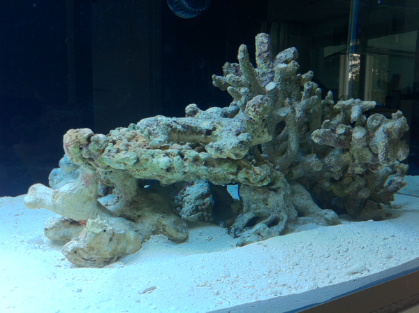 pieniryhmä lähi.jpg