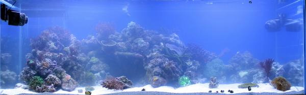 Sameutta illalla-1.JPG