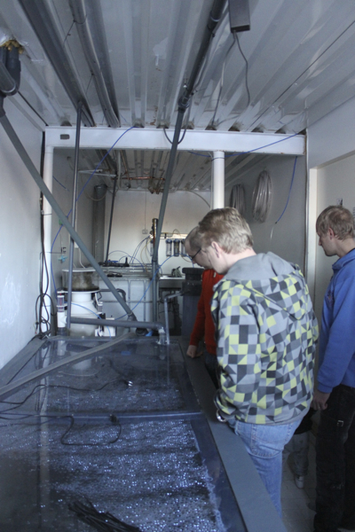 fishroom.jpg