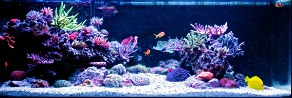 140x70x55cm