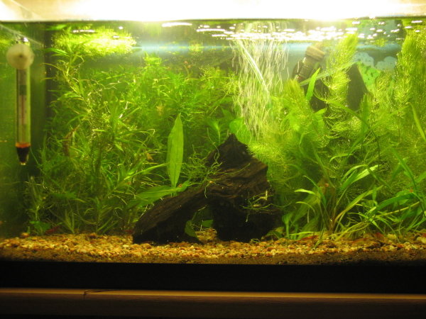 Rapulan (25l) uusittu ilme