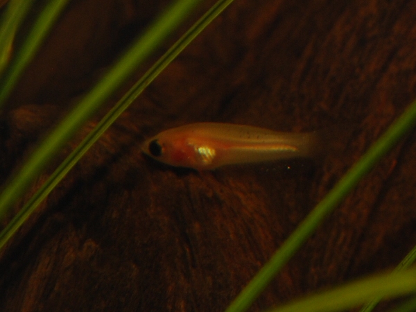 aquarium.jpg