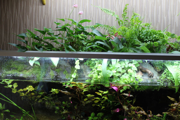 5.2-2011 001.jpg