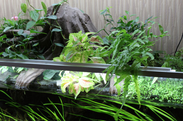5.2-2011 003.jpg