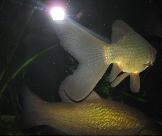 Tavallisin kuvakulma. Melkein ehdin...