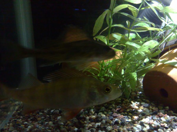 06042011192.jpg