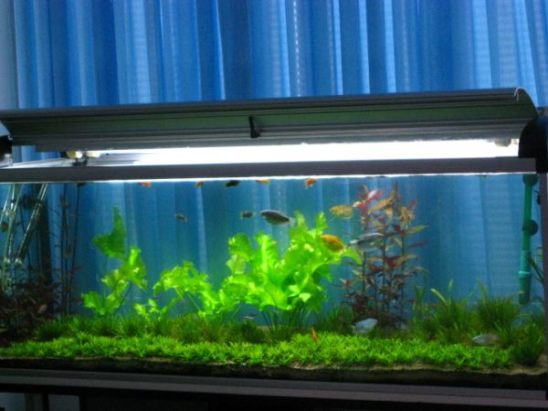 8kk set up jälkeen :)