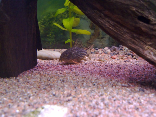 110820111456.jpg