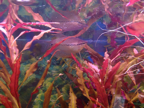 110820111457.jpg